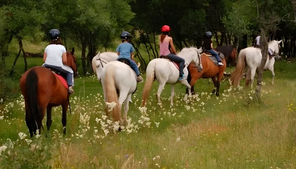 cabalgata